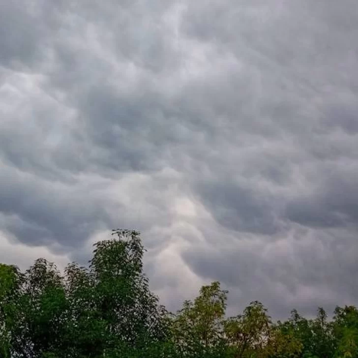 Clima en Río Gallegos: pronóstico del tiempo para hoy, sábado 23 marzo de 2024