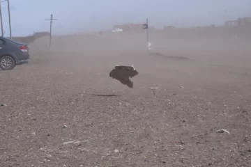 Clima en Río Gallegos: ¿continuarán los fuertes vientos este lunes 22 de julio?