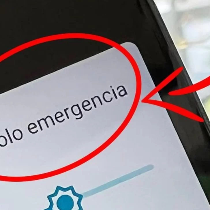 ¿Se cayó Claro Argentina otra vez? Usuarios reportan caída del servicio de teléfonos en distintas provincias