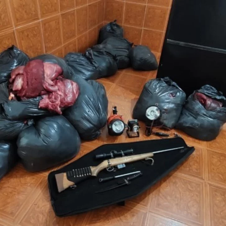 Cazadores furtivos detenidos con 700 kilos de carne de guanaco en Chubut Cazadores furtivos detenidos con 700 kilos de carne de guanaco en Chubut