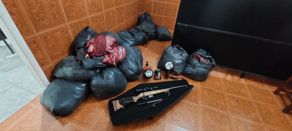 Cazadores furtivos detenidos con 700 kilos de carne de guanaco en Chubut Cazadores furtivos detenidos con 700 kilos de carne de guanaco en Chubut