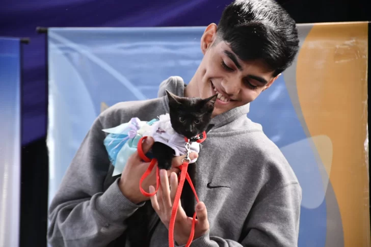 Las mascotas más fashion desfilaron en la Expo Animal 