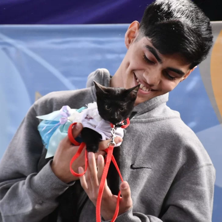 Las mascotas más fashion desfilaron en la Expo Animal 