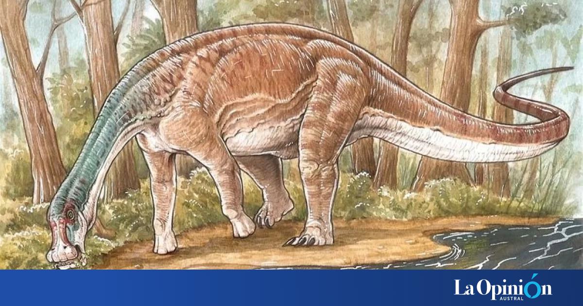 Descubrieron Una Nueva Especie De Dinosaurio En La Patagonia Con El Cuerpo “casi Completo” La 0056