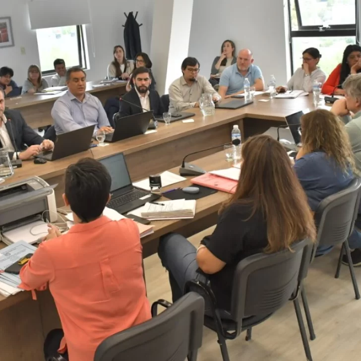 Presupuesto 2024. Liliana Toro: “Todas las dudas fueron evacuadas” Presupuesto 2024. Liliana Toro: “Todas las dudas fueron evacuadas”