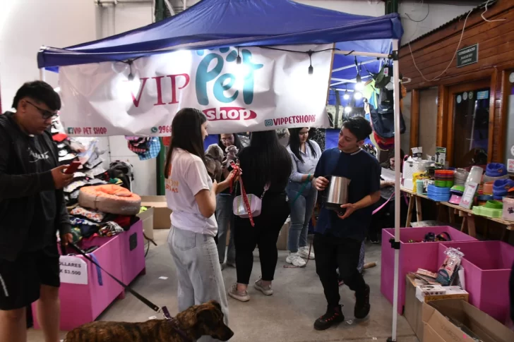 expo-animal-32876-728x485