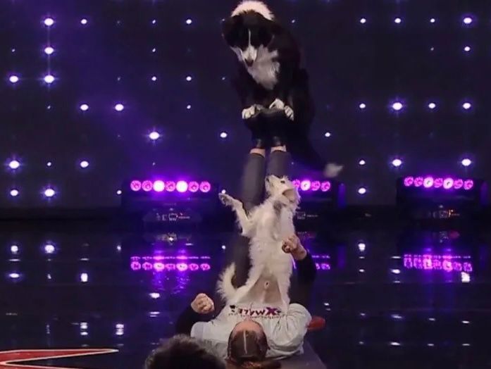 Insólito: se escapó un perro durante una presentación de Got Talent Argentina