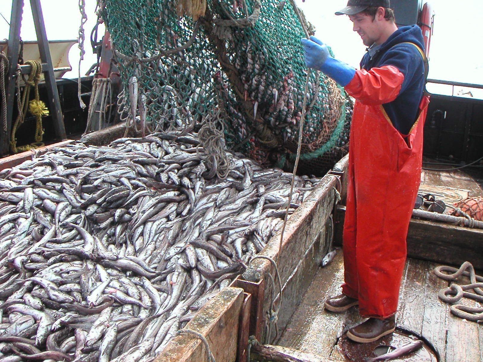 Ley ómnibus: Cámara de la Industria Naval insiste en los efectos negativos para la pesca