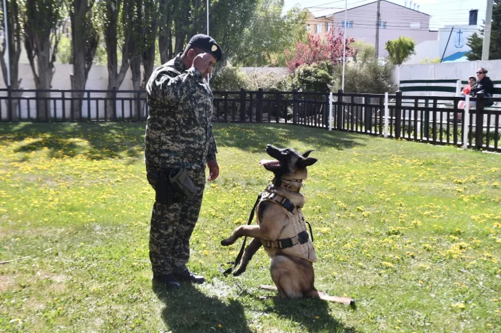 Segundo día de la Expo Animal: demostración de adiestramiento y gran cantidad de adopciones