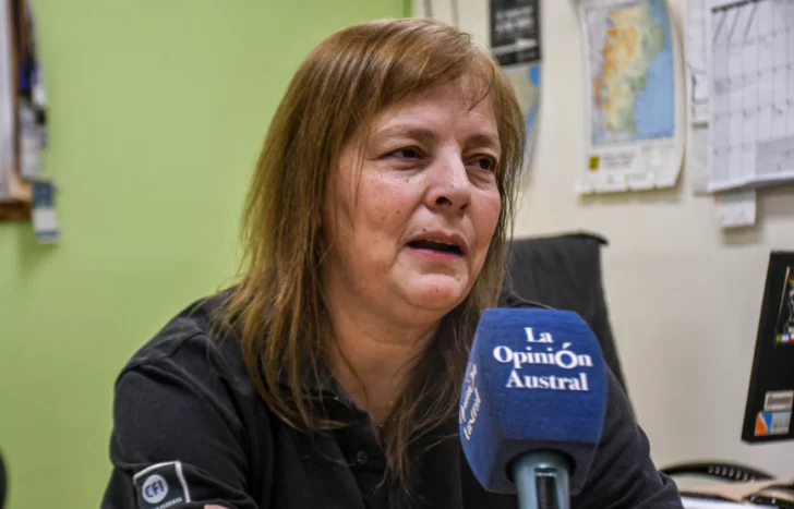 María Sanz en contra de la audiencia pública por la semaforización de la autovía: “Me parece un uso tribunero de la seguridad vial”