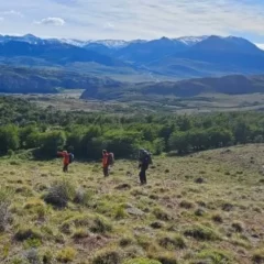 Hallaron muerta en El Chaltén a la turista de Estados Unidos desaparecida el martes