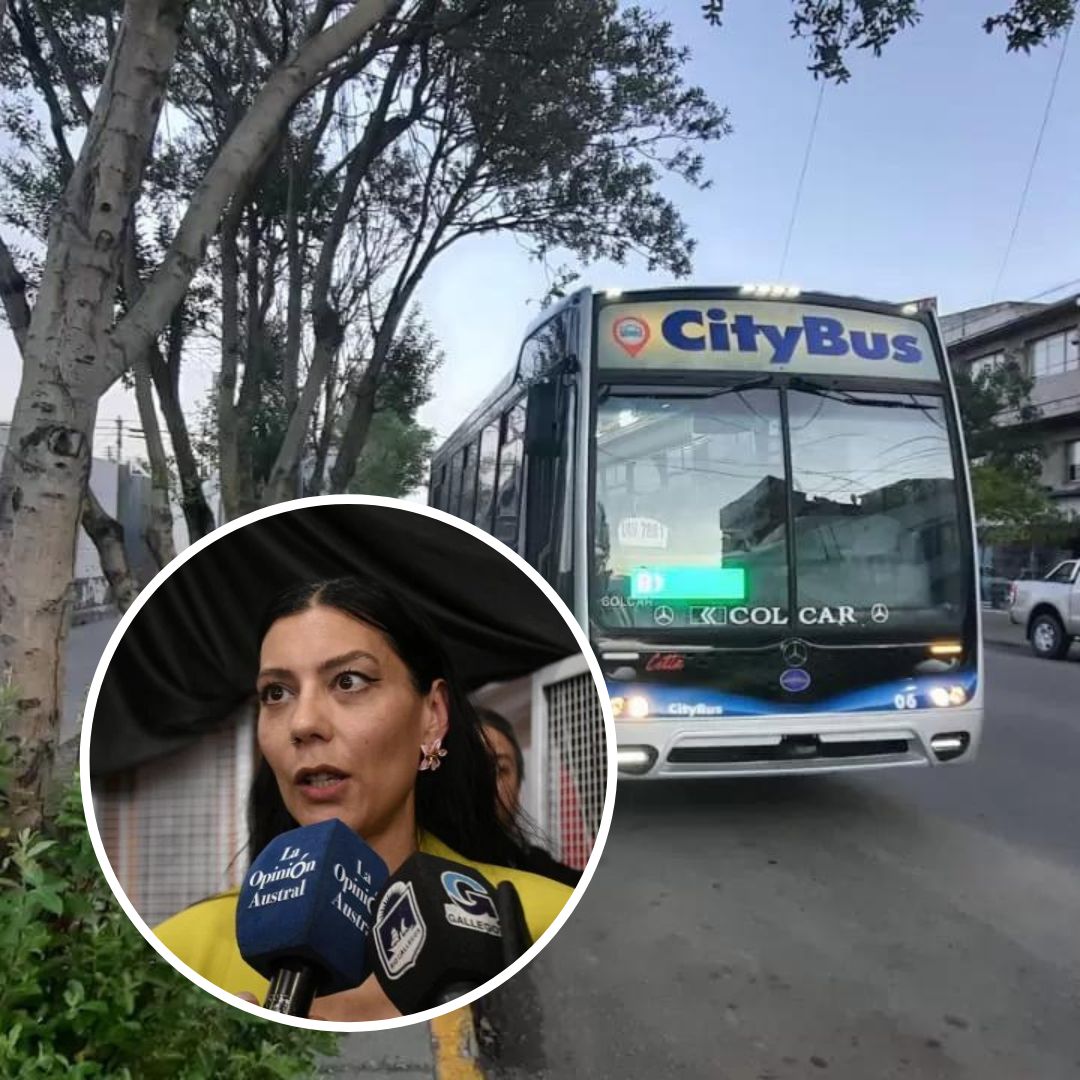 Sara Delgado sobre el aumento del boleto de colectivo en Río Gallegos: “El municipio no está en condiciones de absorberlo” Sara Delgado sobre el aumento del boleto de colectivo en Río Gallegos: “El municipio no está en condiciones de absorberlo”