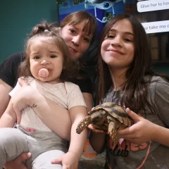 ¡Final feliz!: “Panchita” volvió a su hogar y se reencontró con su familia