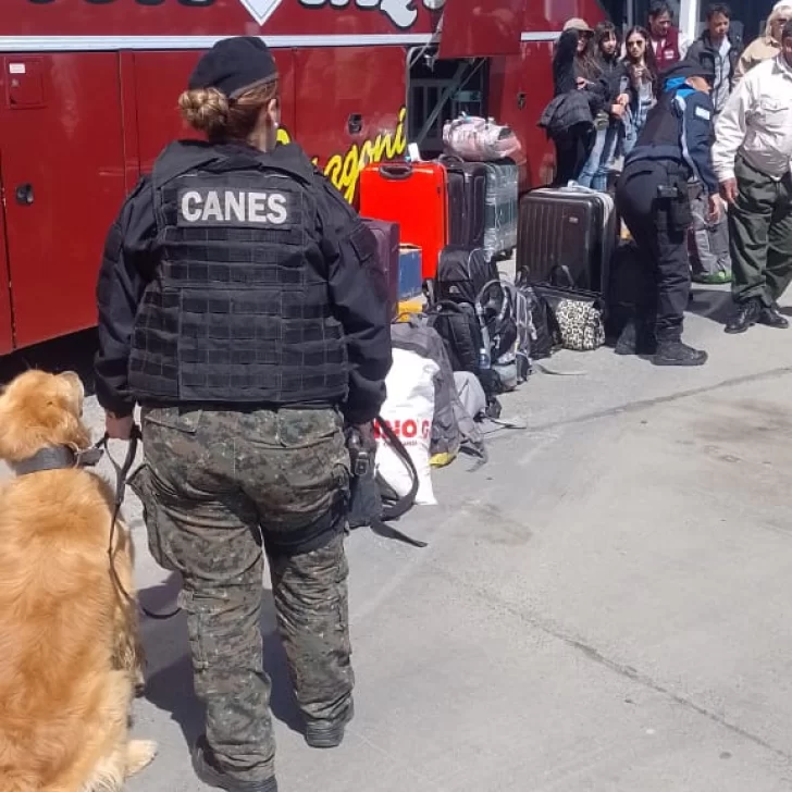 Operativo policial en terminal de Río Gallegos: Descubrimiento sospechoso en la bolsa de un pasajero Operativo policial en terminal de Río Gallegos: Descubrimiento sospechoso en la bolsa de un pasajero