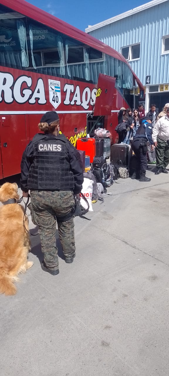 Operativo policial en terminal de Río Gallegos: Descubrimiento sospechoso en la bolsa de un pasajero Operativo policial en terminal de Río Gallegos: Descubrimiento sospechoso en la bolsa de un pasajero