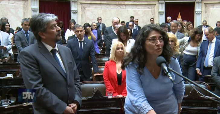Ana María Ianni, José Luis Garrido y Sergio Acevedo juraron como diputados
