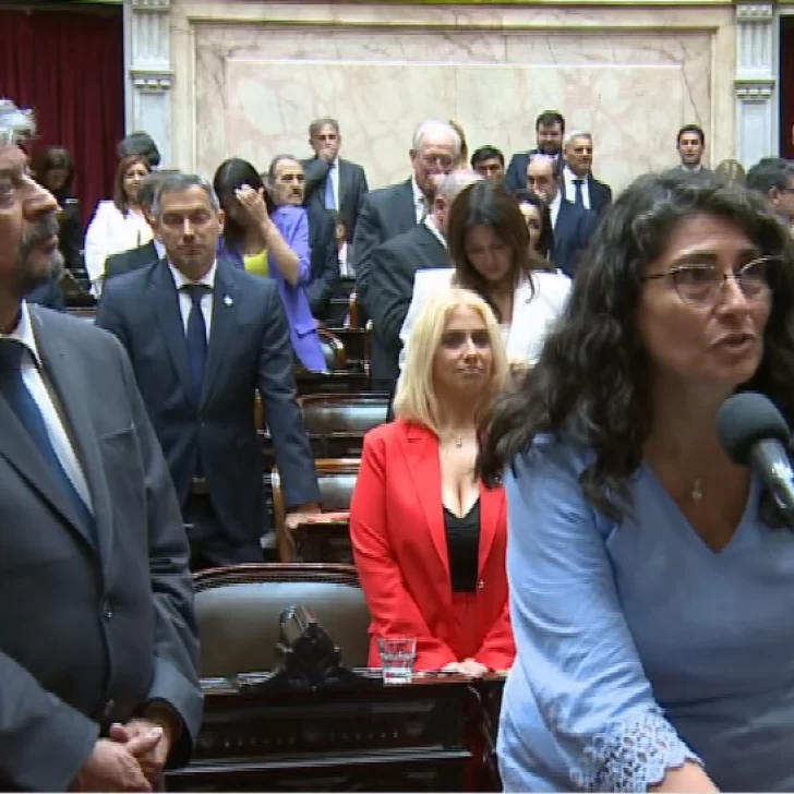 Ana María Ianni, José Luis Garrido y Sergio Acevedo juraron como diputados