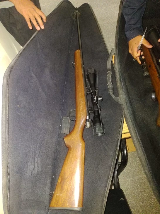armas-de-fuego-caza-furtiva-23d23d2-546x728 armas-de-fuego-caza-furtiva-23d23d2-546x728
