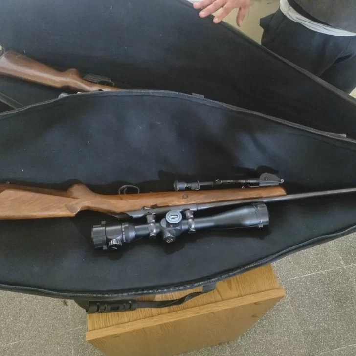 Secuestran carne de guanaco y armas sin documentación en un control policial