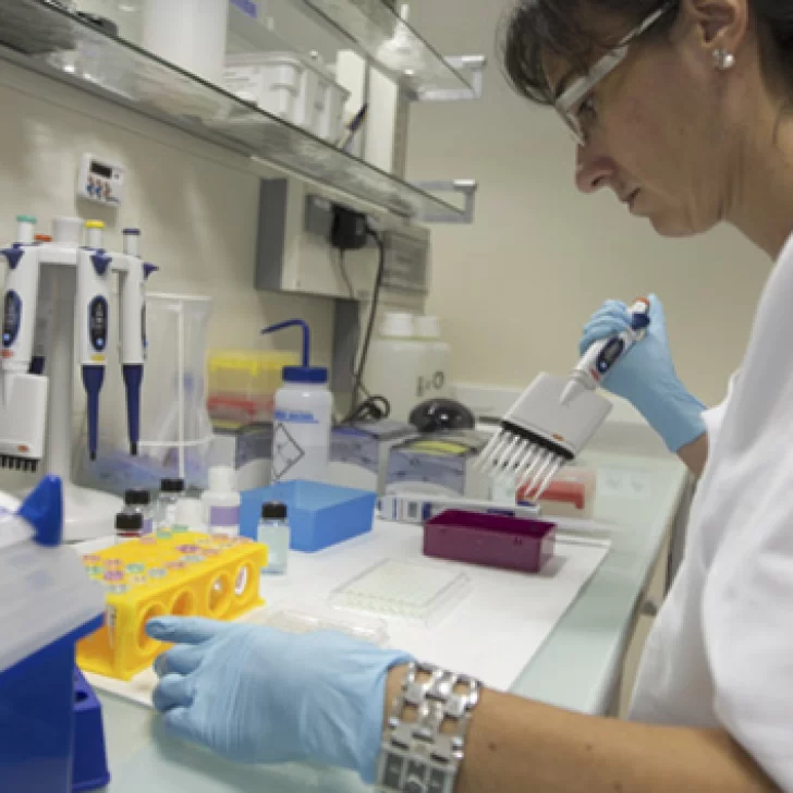 Bioquímicos en estado terminal