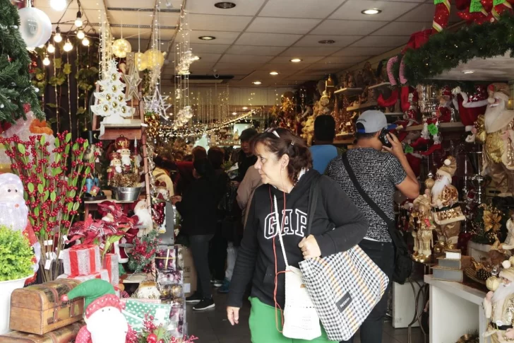 Ventas de Navidad caen 2,8% interanual: “La devaluación y las fuertes subas de precios afectaron la demanda”