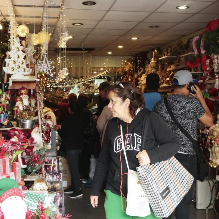 Ventas de Navidad caen 2,8% interanual: “La devaluación y las fuertes subas de precios afectaron la demanda” Ventas de Navidad caen 2,8% interanual: “La devaluación y las fuertes subas de precios afectaron la demanda”