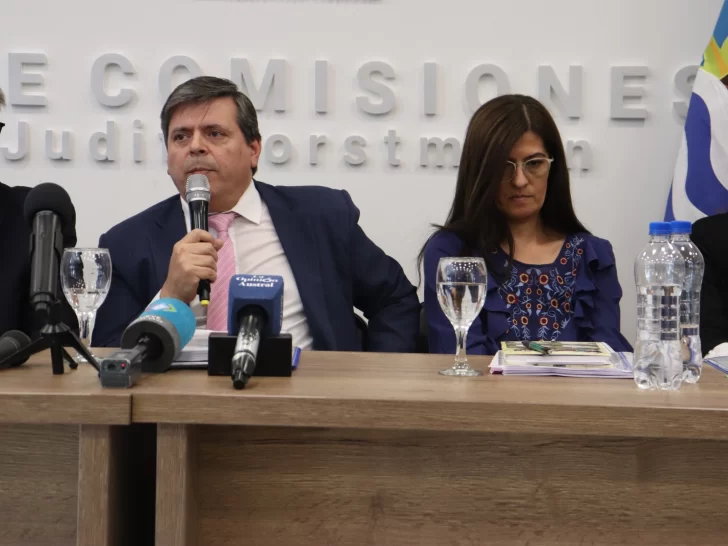 conferencia-de-prensa-legislatura-leguizamon-partido-ser-2390dj230d-31-728x546