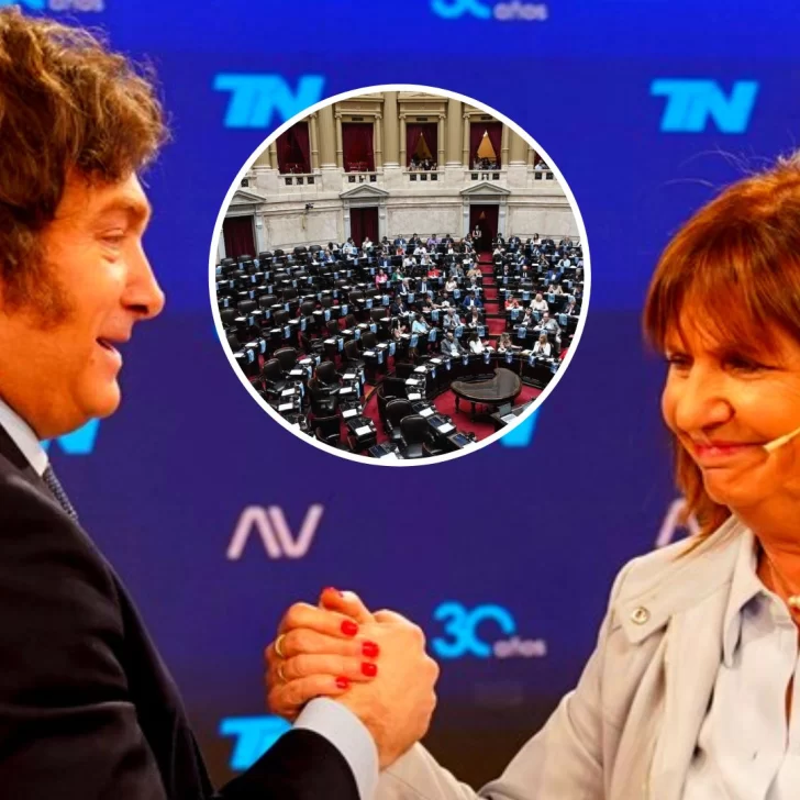 Ley ómnibus: Bullrich pidió que el Congreso le dé un “voto de confianza” a Milei