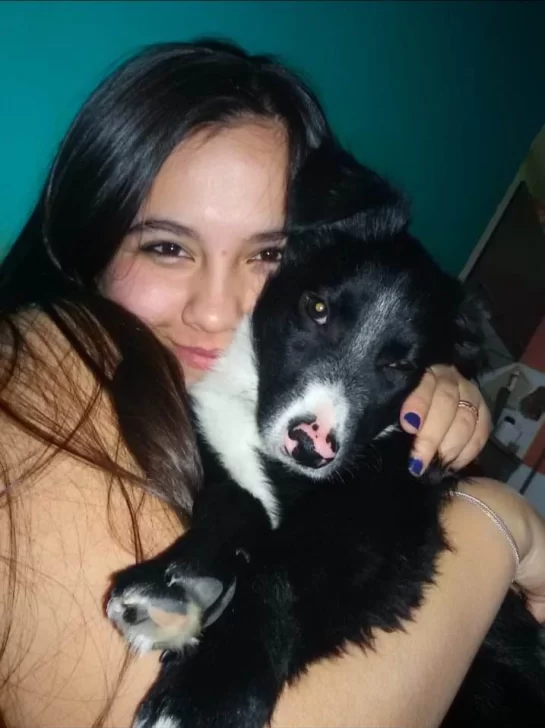 Atropellaron a “Polo” y lo dejaron tirado: “Arrancó una parte de mí”