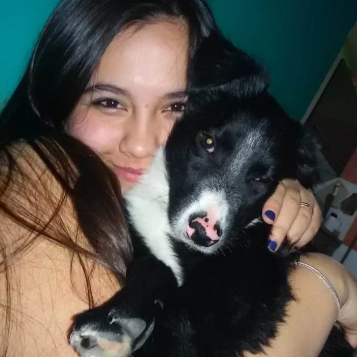 Atropellaron a “Polo” y lo dejaron tirado: “Arrancó una parte de mí”