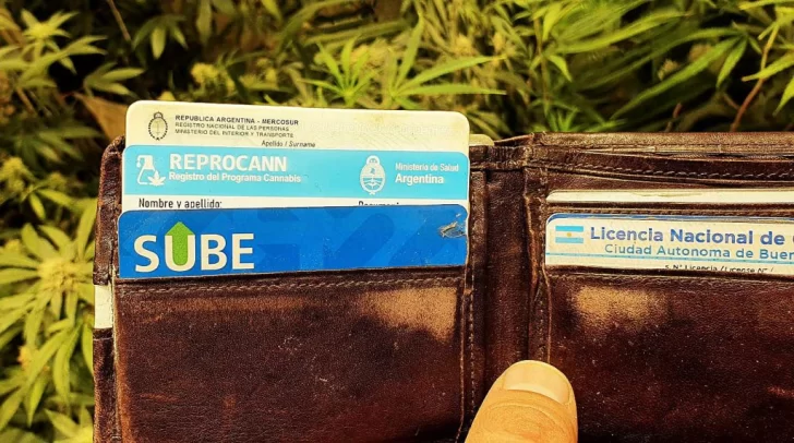Policía de Santa Cruz permitió viajar con cannabis a usuarios de REPROCANN: ¿Qué pasaba antes en Río Gallegos?