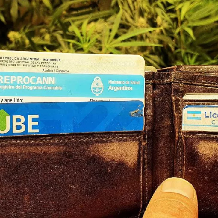 Policía de Santa Cruz permitió viajar con cannabis a usuarios de REPROCANN: ¿Qué pasaba antes en Río Gallegos?