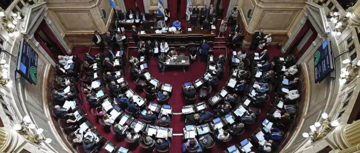 Senadores opositores aseguran que “hay números suficientes para rechazar el DNU”