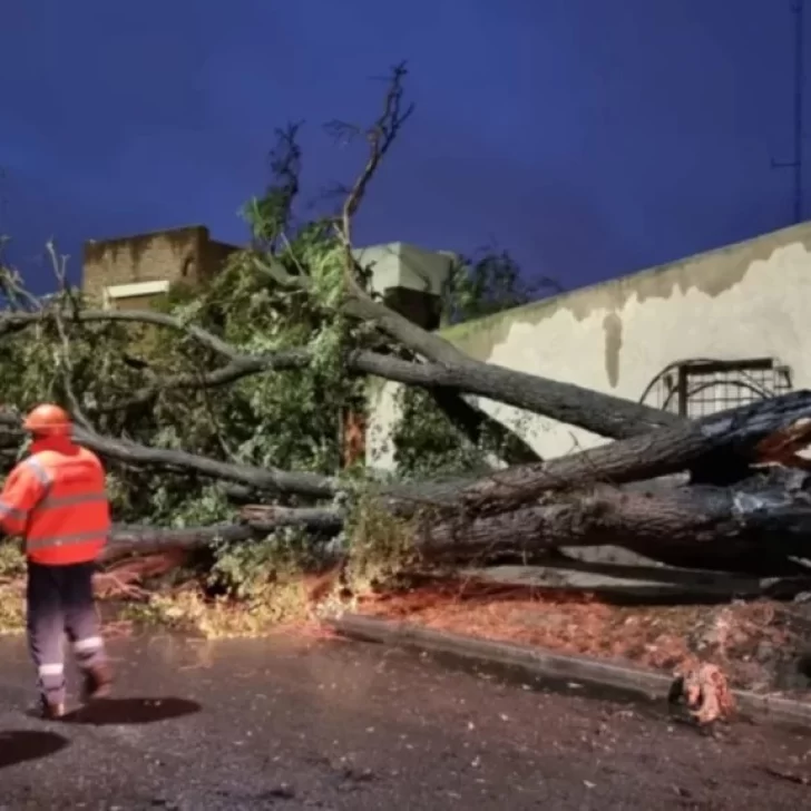 Defensa y Seguridad disponen asistencia ante la emergencia en Bahía Blanca por el trágico temporal