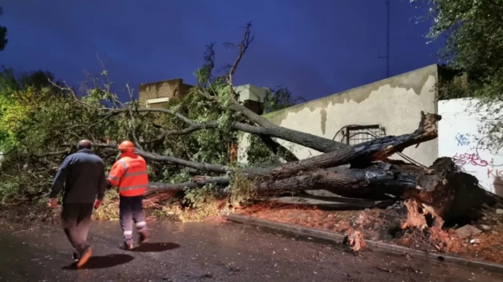 Defensa y Seguridad disponen asistencia ante la emergencia en Bahía Blanca por el trágico temporal