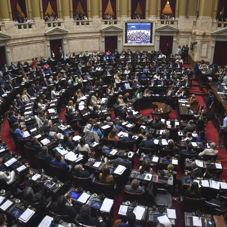 Diputados tratará nueva ley de movilidad para jubilados de Anses