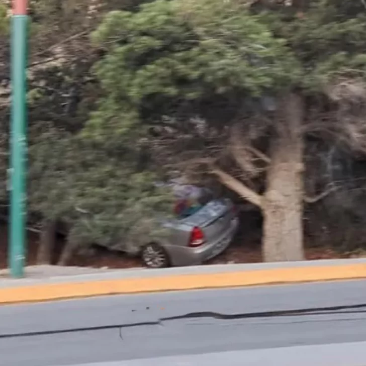 La calzada mojada provocó que despiste en el ingreso a El Calafate y se salvó de milagro La calzada mojada provocó que despiste en el ingreso a El Calafate y se salvó de milagro