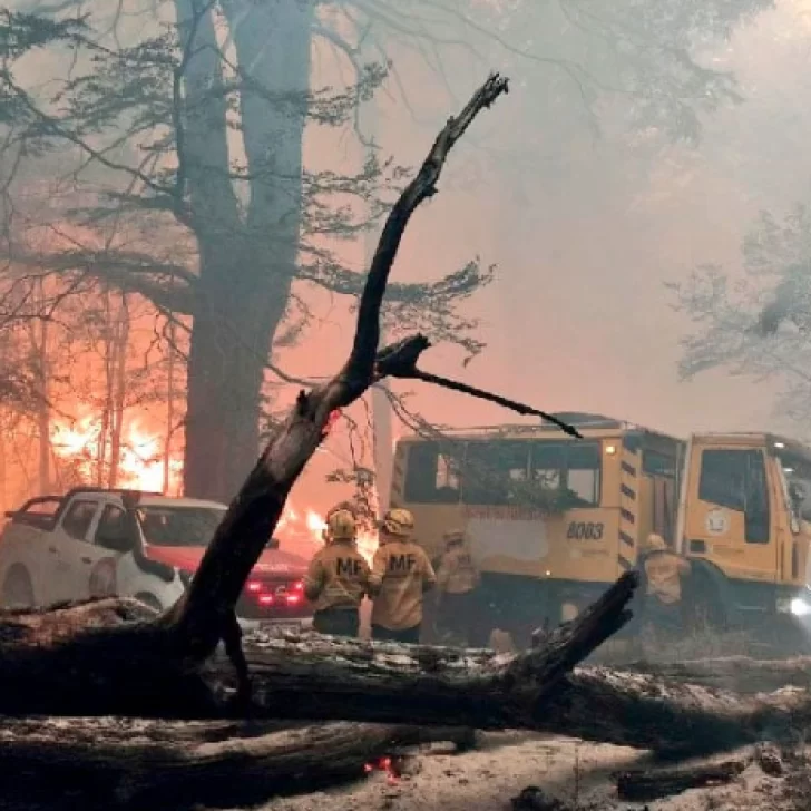 El viento complica el incendio en el Parque Nacional Los Alerces y ya hay 2.300 hectáreas quemadas