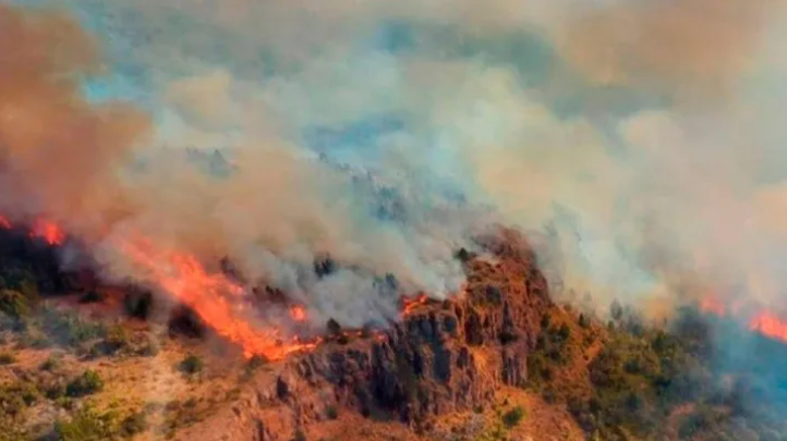 INCENDIO-PARQUE-NACIONAL-LOS-ALERCES-89570-1