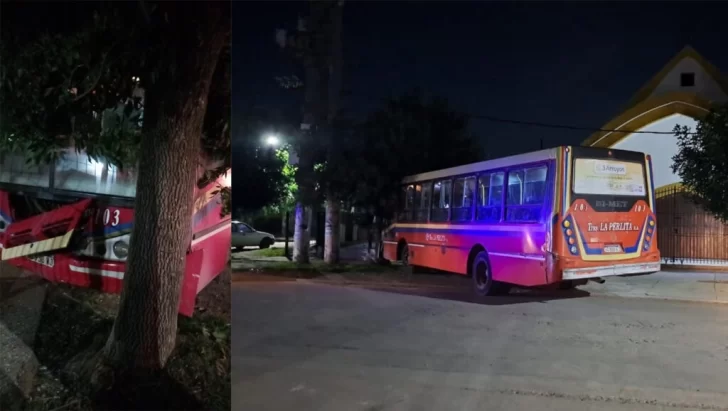 Robaron un colectivo, tiraron al chofer al asfalto y en la huida chocan contra un árbol