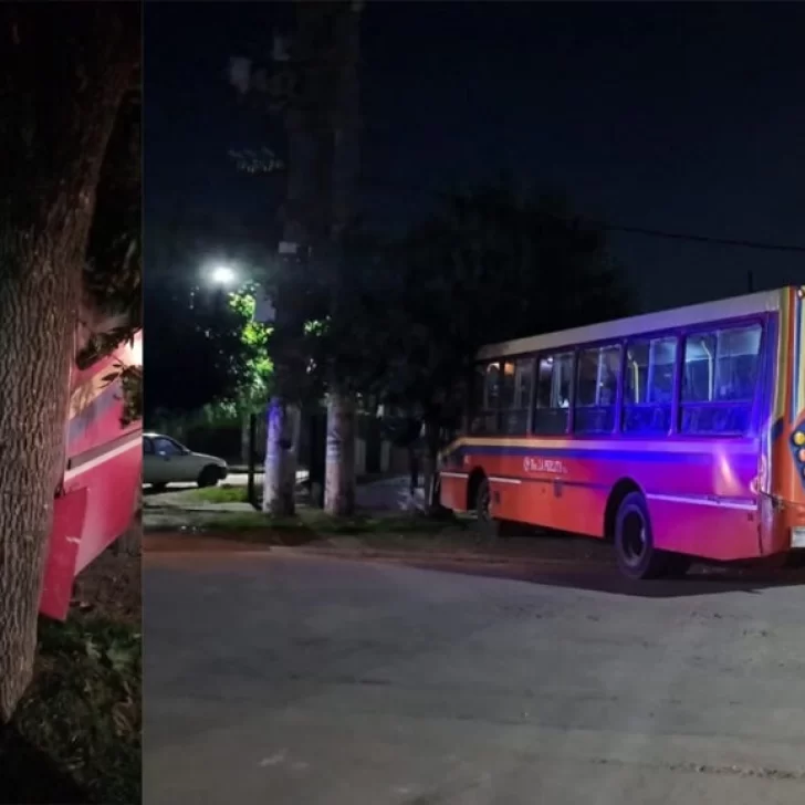 Robaron un colectivo, tiraron al chofer al asfalto y en la huida chocan contra un árbol