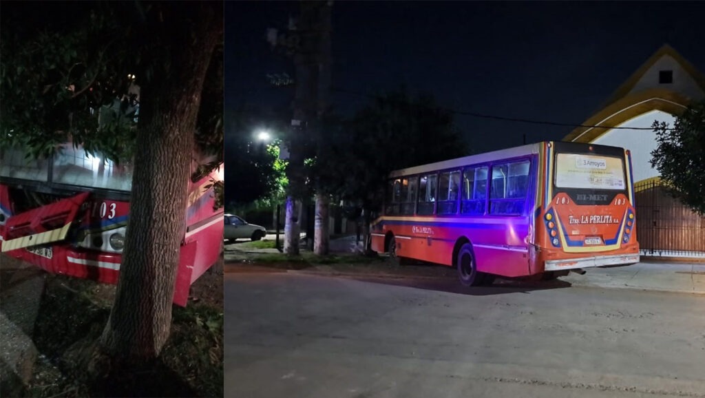 Robaron un colectivo, tiraron al chofer al asfalto y en la huida chocan contra un árbol