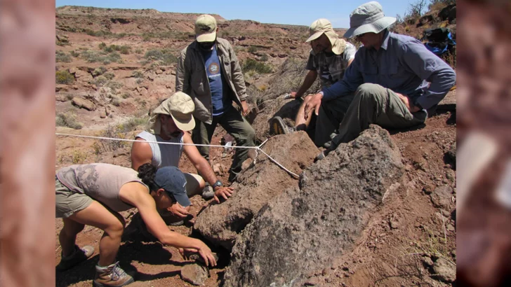 Sidersaura-marae-paleontologos-7843-728x410 Sidersaura-marae-paleontologos-7843-728x410