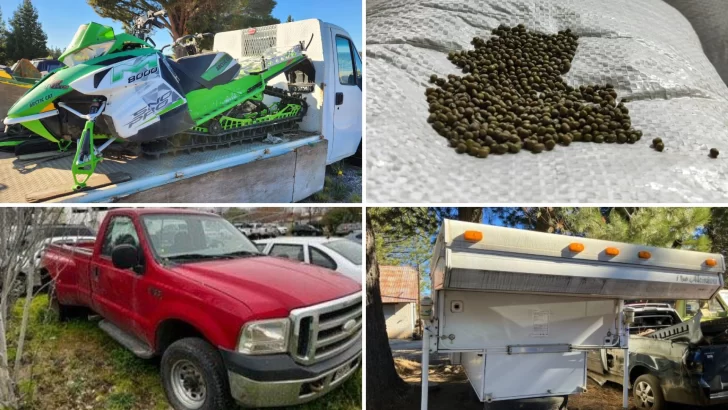 Aduana subastará una camioneta, motos de nieve, un camper, manufacturas de plata y porotos