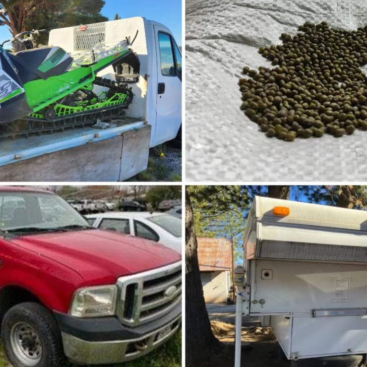 Aduana subastará una camioneta, motos de nieve, un camper, manufacturas de plata y porotos