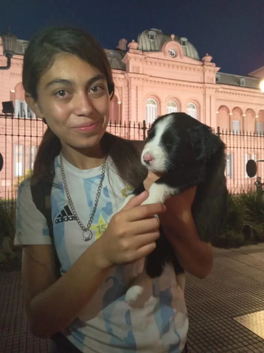 ¡Si la viera Milei!: la increíble historia de Alma, la perrita que fue abandonada cerca de Plaza de Mayo, la rescataron y volvió “a pasear” a Casa de Gobierno