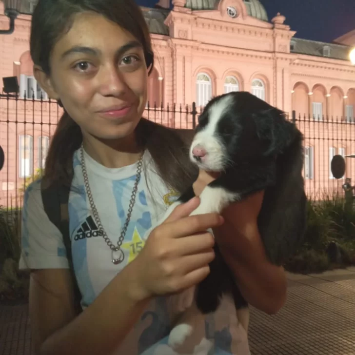 ¡Si la viera Milei!: la increíble historia de Alma, la perrita que fue abandonada cerca de Plaza de Mayo, la rescataron y volvió “a pasear” a Casa de Gobierno