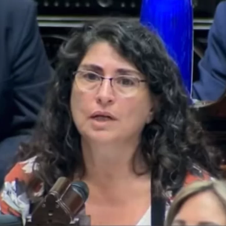 Ana María Ianni denunció irregularidades al inicio de la sesión para tratar la Ley Ómnibus en Diputados