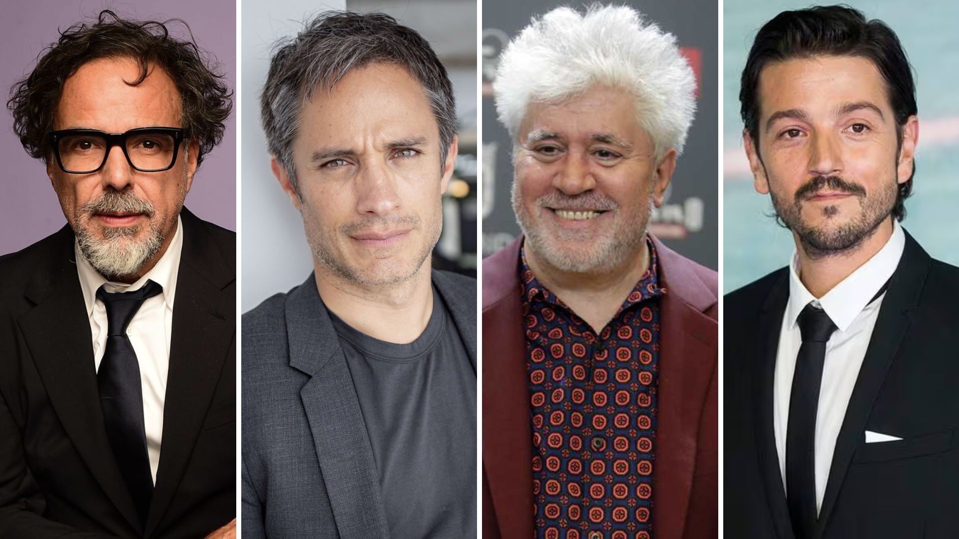 Estrellas del cine internacional critican el recorte al Incaa de la Ley Ómnibus Estrellas del cine internacional critican el recorte al Incaa de la Ley Ómnibus