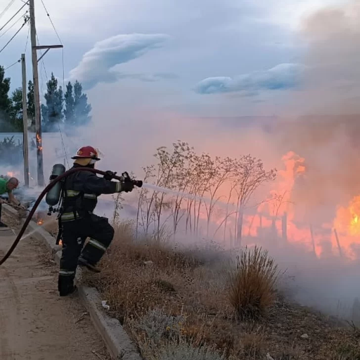 Bomberos sofocaron un voraz incendio en un terreno baldío de El Calafate Bomberos sofocaron un voraz incendio en un terreno baldío de El Calafate